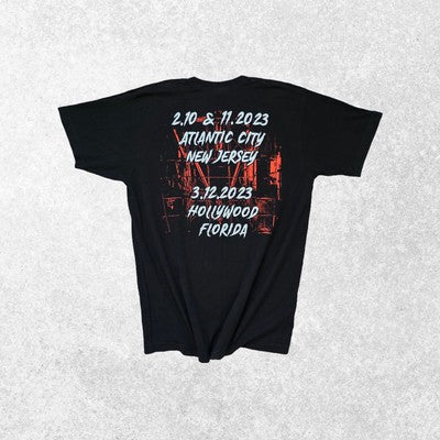 Mötley Crüe & Def Leppard Tour T-Shirt Cassette Graphic Black Tee L Tultex USA