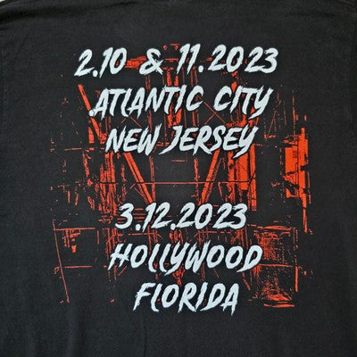 Mötley Crüe & Def Leppard Tour T-Shirt Cassette Graphic Black Tee L Tultex USA